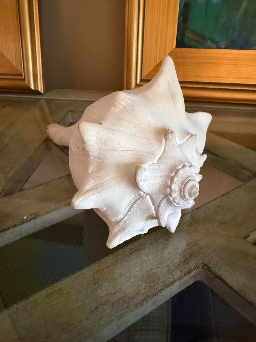 Sea Shells & More – 3D Printed Coastal Decor (Conch, Seashell, Starfish, Sand Dollar)