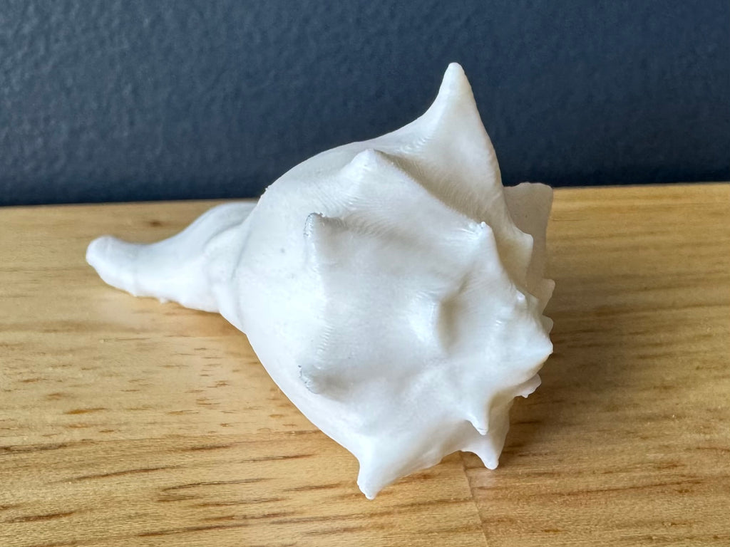 Sea Shells & More – 3D Printed Coastal Decor (Conch, Seashell, Starfish, Sand Dollar)