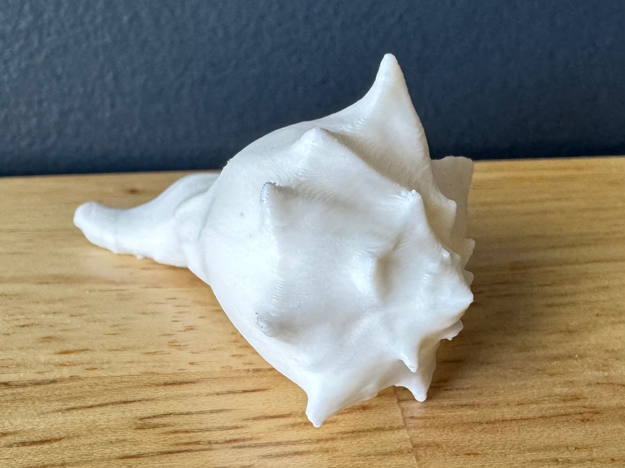 Sea Shells & More – 3D Printed Coastal Decor (Conch, Seashell, Starfish, Sand Dollar)