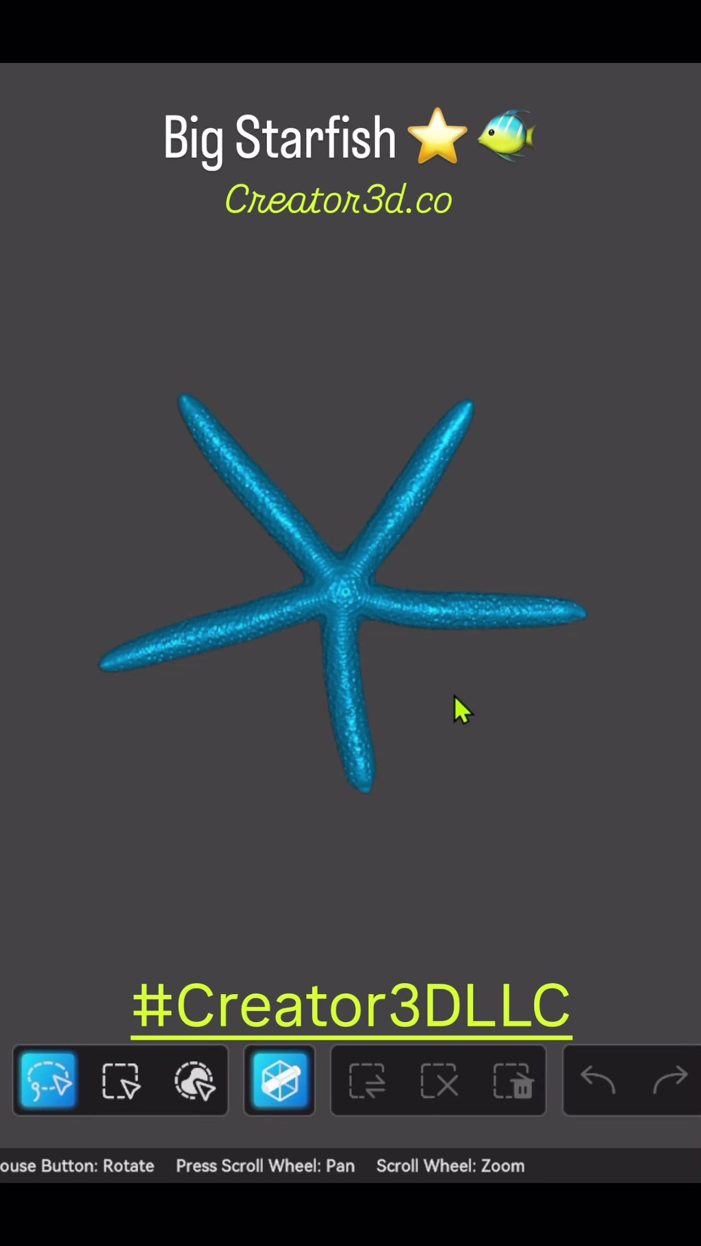 Sea Shells & More – 3D Printed Coastal Decor (Conch, Seashell, Starfish, Sand Dollar)