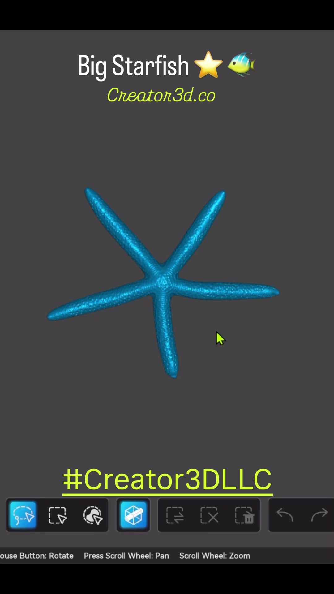 Sea Shells & More – 3D Printed Coastal Decor (Conch, Seashell, Starfish, Sand Dollar)